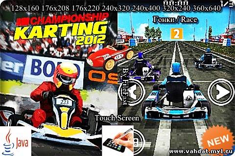 Championship Karting 2012 3D / Чемпионат по картингу 2012 3D
